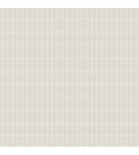 Papel Autoadhesivo Basic Lines