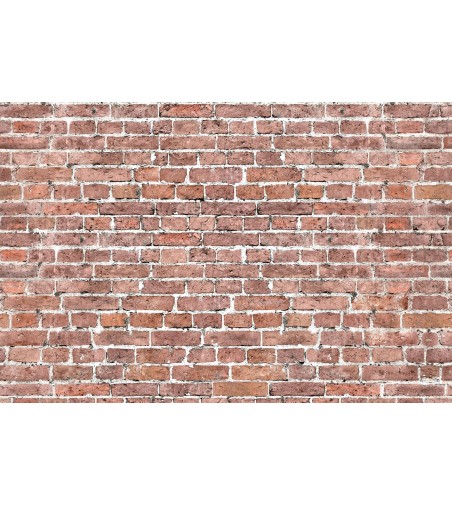 Salpicadero de cocina Grunge Brick